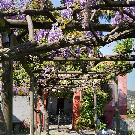 乡村民宿 卡萨马瑞恰酒店 *