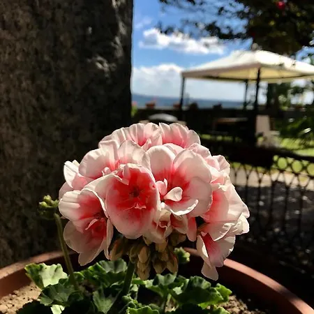 Casamariuccia
